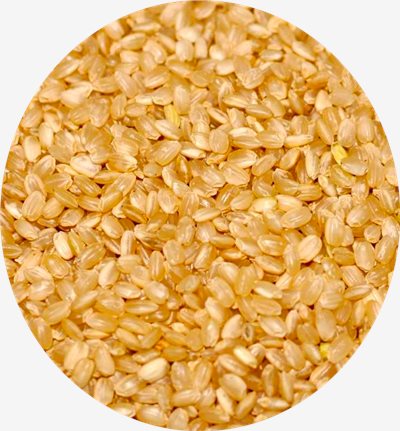 胚芽米 1kg