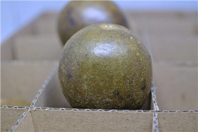 羅漢果 20顆
