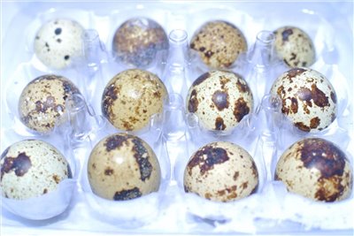 鵪鶉蛋(生) 12粒