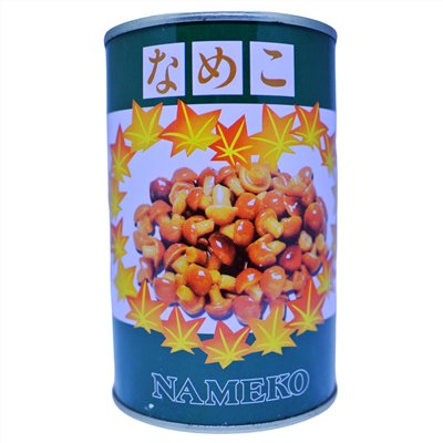 金茸菇400g
