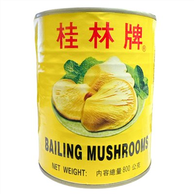 桂林牌 白靈菇800g