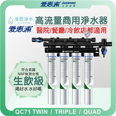 EVERPURE 愛惠浦 QC71 多聯系統 商用高流量淨水器