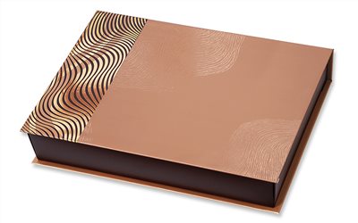 中秋書型15入組合禮盒赤金M1-9-15(新型專利)