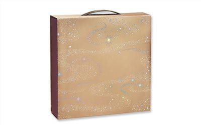 手提組合禮盒9入M12-5-9星熠(新型專利)