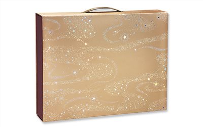 手提組合禮盒12入M12-5-12星熠(新型專利)