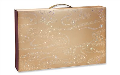 手提組合禮盒15入M12-5-15星熠(新型專利)