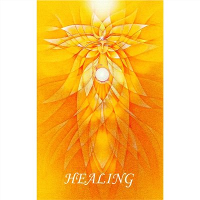 恢復晶片卡 (Healing) 
