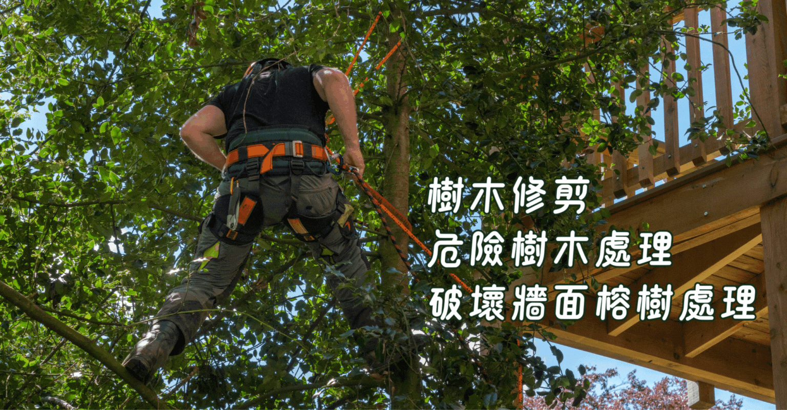 樹木修剪,鋸樹,修樹,障礙樹木去除,颱風危樹處理,倒塌樹木清除,路樹倒塌清除,大型樹木修剪