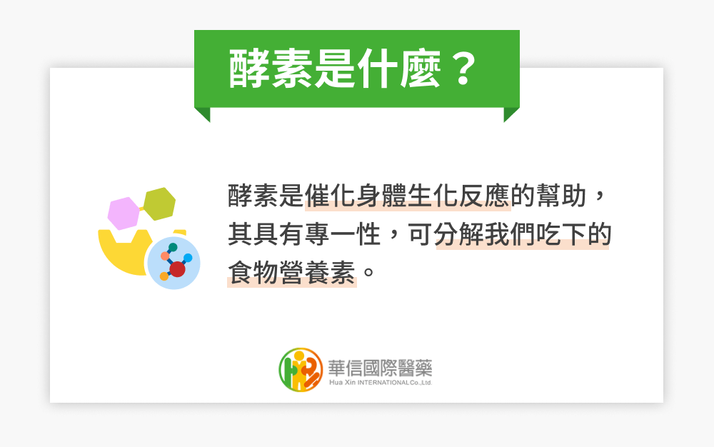 酵素是什麼？