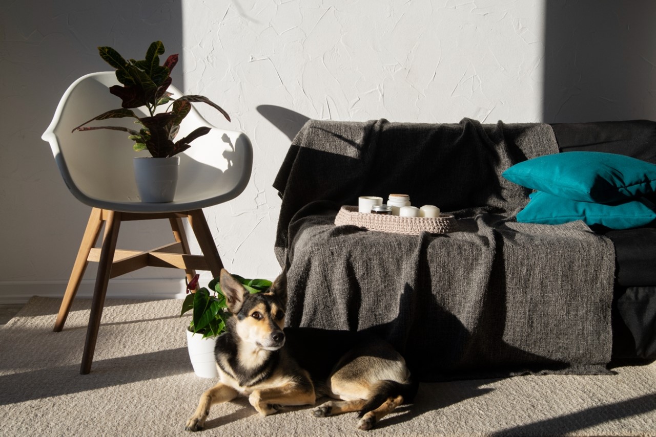 侘寂風以其簡樸、自然的設計,幫助緩和步調,同時,去掉過多的裝飾,也讓空間變得更加純粹