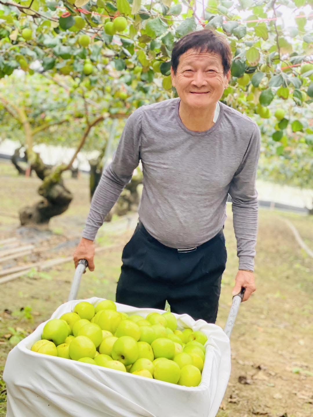蜜棗蜂蜜圖3